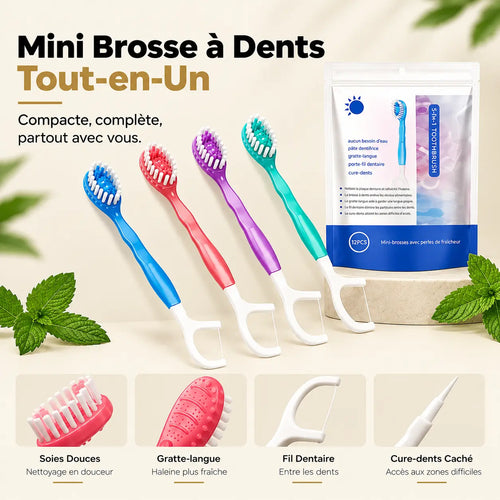 Pack 12 mini Brosse a dente